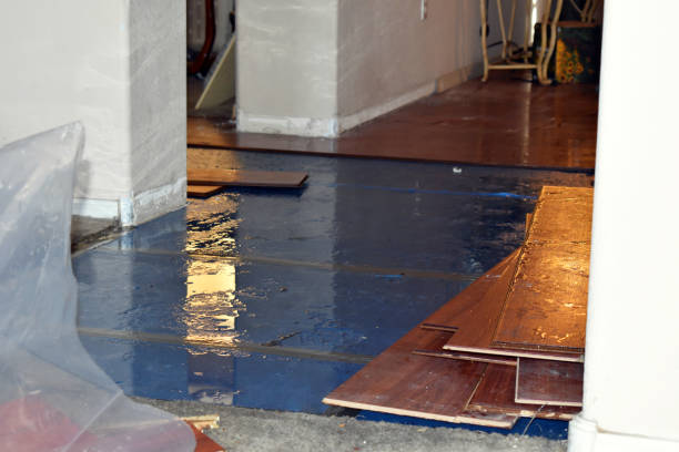 Professional Basement Water Removal technician working in Manor, TX